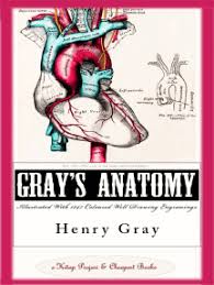 Thank you for becoming a member. Read Gray S Anatomy Illustrated With 1247 Coloured Well Drawing Engrawings Online By Henry Gray And Henry Vandyke Carter Books