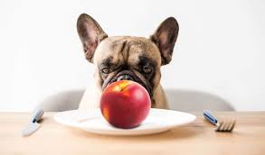 This is particularly true if you give too much credit: Gdvkvmpb1thmcm