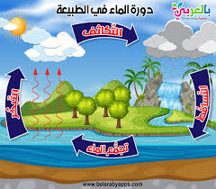 بحث عن دورة الماء في الطبيعة بحث عن الماء سر الحياة بالعربي نتعلم