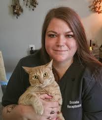 Experienced Veterinarians