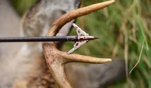 Maybe you would like to learn more about one of these? The Best Broadhead Choice For Each Bowhunting Situation Bowhunter