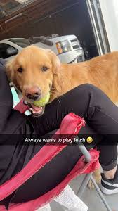 ❗️❗️!!My basset hound ran away a while back and I want her to come home so  bad if any one sees her let me know or if you know anything about her