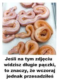 Besty, pączki, śmieszne teksty, mem, memy, demotywatory, śmieszne obrazki, tłusty czwartek, demotywator, kot, kotek, koteł, demot, kociak, śmieszne, humor. Waz Besty Waz Smieszne Obrazki Memy Smieszne Teksty Xdpedia