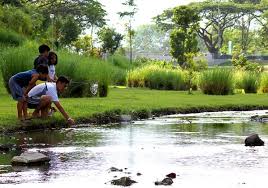 Portfolio Landscape Architecture Bishan Ang Mo Kio Park Landscape Architecture Landscape Parking Design