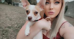 UPDATE: he is home! If you see a lost dog today you that looks like Simba,  please contact Elisha. They are missing him terribly!