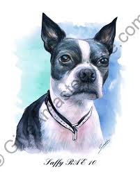 This will be a bit tricky for a start. Pet Portraits From A Photo Examples With Pets