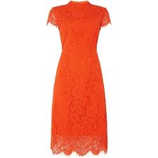 Ivy Oak Lace Cocktail Dress With Cap Sleeves 145 Liked On Polyvore Featuring Dresses Orange Cocktail Dresses Stylish Short Dresses Cocktail Dress Lace