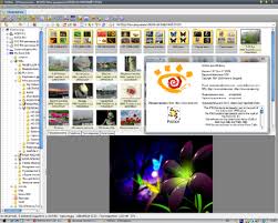 Xnview is a free software for windows that allows you to view, resize and edit your photos. Xnview Full Download For Windows Pc Mac Os X Pc All Pc Download