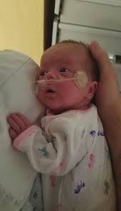 BABES SECTION 2018.indd