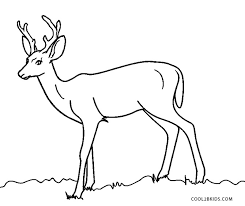 These printable coloring pages offer beautiful images for your child to color. Free Printable Deer Coloring Pages For Kids Cool2bkids