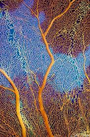 Epingle Par Marilyn Sur Backgrounds Creatures Des Oceans Textures Sous La Mer