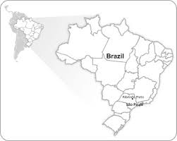 Come 130 anni fa, edison è pronta ad assumere un ruolo chiave nello sviluppo sostenibile del paese. Zika Virus Seroprevalence In Blood Donors From The Northeastern Region Of Sao Paulo State Brazil Between 2015 And 2017 Journal Of Infection