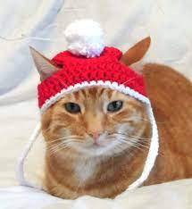 Crochet Cat Hat Christmas Santa Hat For Cats Cat Christmas Costume Novelty Hats For Cats Crochet Cat Hat Crochet Cat Christmas Crochet