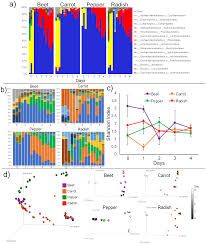Metabolites Free Full Text Microbial Transformations Of