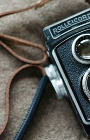 Sia bird set free letra en español. Lyrics Of Songs Letras De Canciones Sia Bird Set Free Wattpad