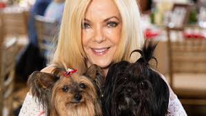 Peppermint Bark & Brunch helps shelter rescue cats and dogs