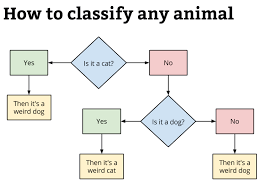 34 Interpretive Flow Chart Showing Classification Of Animals