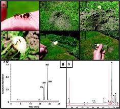 Hometeam pest defense offers a unique approach to pest control. Chemical Defenses Of Insects A Rich Resource For Chemical Biology In The Tropics Springerlink
