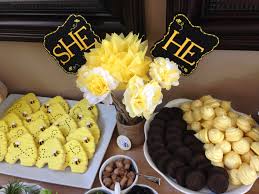 Gender reveal party food ideas image of ba photography for chris. Baby Gender Reveal Bee Theme Novocom Top