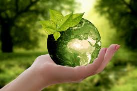 Why world environment day is observed on 5th june every year? Quiz On World Environment Day Wed On 5 June 2018 Beat Plastic Pollution Tenquestion Com
