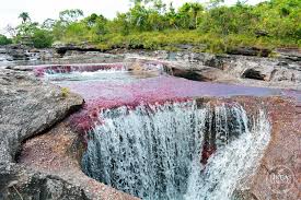 Caño cristales, colombie ©mathieuperrotborhinger caño cristales : Todo Lo Que Necesita Saber Sobre Cano Cristales Blogs El Espectador