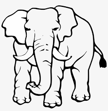 Plus, it's an easy way to celebrate each season or special holidays. Circus Elephant S Elephant Images Safari Animal Face Coloring Page Transparent Png 1331x1295 Free Download On Nicepng