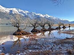 Nya zeeland var ursprungligen en del av superkontinenten gondwana, och dess äldsta bergarter är från övre prekambrium. Those Glenorchy Willow Trees Looking Fine On A Sunny Winter S Day