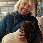 Search Sharon Hernandez Obituaries and Funeral Services