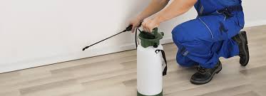 This is also a place for. Perimeter Treatments To Spray For Bugs Insects Bioadvanced