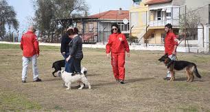 Izmir De Uluslararasi Arama Kurtarma Kopekleri Organizasyonu Kuzeyegehaber