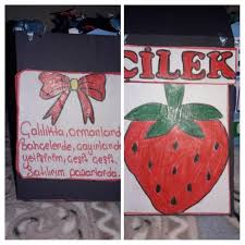 Ornek Olarak Cilek Tekerlemesi Ve Resmi Cilek Elsa