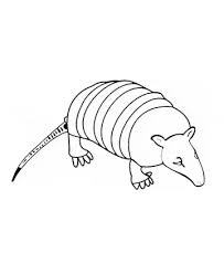 Jan 26, 2021 · by best coloring pages january 26th 2021. Armadillo Coloring Page Animals Town Free Armadillo Color Sheet