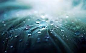 9 Tips For Trying Abstract Photography For The First Time Macro Photography Abstract Macro Photography Abstract Photography