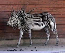 Home › a fantastic collection. Some Wtf Photoshop Gallery