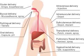 Image result for Medication Route
