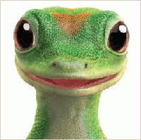 The geico gecko quickly became a force to be reckoned with in the advertising. Geico S Gecko Debuts Book 04 24 2013