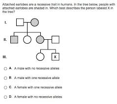 Attached Earlobes Are A Recessive Trait In Humans In The