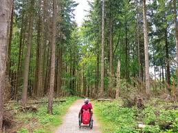 Von flüssen durchzogene täler, erloschene vulkankegel, vermoorte trockenmaare, bizarre felsformationen und aufgeschichtete höhenzüge. Round Up Eifel 7 Blogger Verraten Ihre Lieblingswanderwege Das Fliegende Klassenzimmer