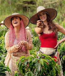 In the united states it will premiere on telemundo on 25 may 2021. Cafe Con Aroma De Mujer Asi Se Ve Laura Londono Como Gaviota