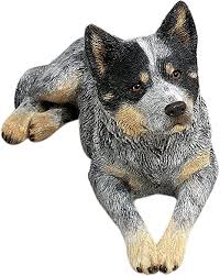 Suitable to put in any sports bag. Amazon Com Sandicast Original Size Australian Cattle Dog Sculpture Lying Blue Home Kitchen