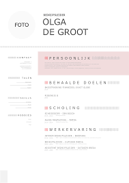 Cv Voorbeeld Vestigingsmanager Of Bedrijfsleider Download Gratis
