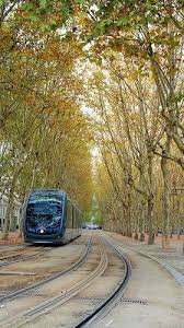 Bordeaux Fr Tramway Going Through Park Bordeaux France France Travel Bordeaux