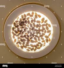 Kamemushi hi-res stock photography and images - Alamy