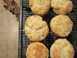Biscuit Recipe With All Purpose Flour And Butter Mom S Baking Powder Biscuits W Milk Egg All Purpose Flour Baking Powder Cream Of Tartar Sugar Butter Baking Powder Biscuits Baking Biscuits