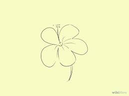 How To Draw A Cartoon Hibiscus Flower Wildflower Drawing Flower Drawing Hibiscus Drawing