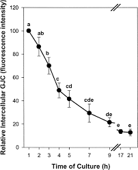 S phase, which stands for synthesis phase; Bovine Cumulus Cell Oocyte Gap Junctional Communication During In Vitro Maturation In Response To Manipulation Of Cell Specific Cyclic Adenosine 3 5 Monophosophate Levels1