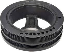 Image result for Pimpinella sp. A. of FZ 4: 594