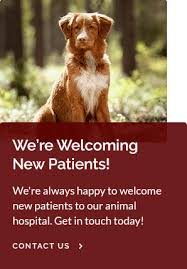 Our usually psychotic dog has obviously been well treated and happy. Dog Cat Medical Boarding Tracy Vet
