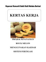 Cara menanam melon yang dapat tahan terhadap penyakit dan hama. Kertas Kerja Mizan Melon
