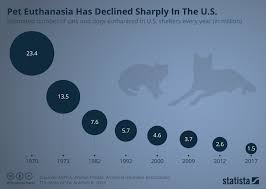 chart pet euthanasia has declined sharply in the u s